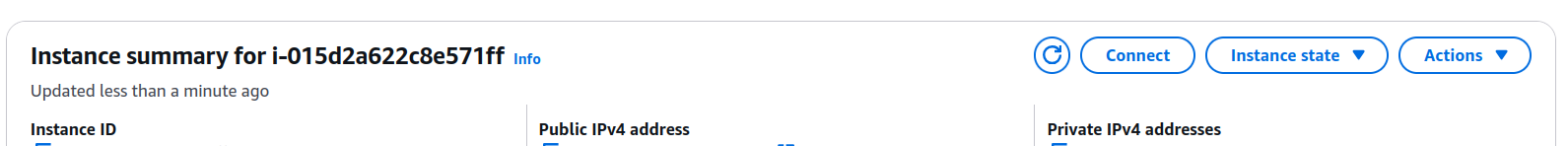 instance summary connect